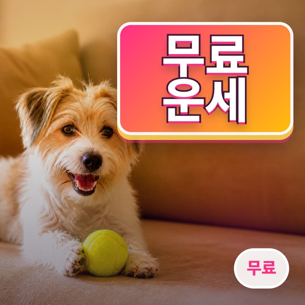 무료 운세
