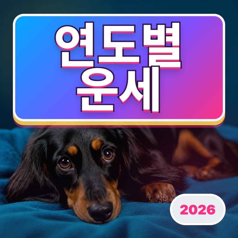 연도별 운세
